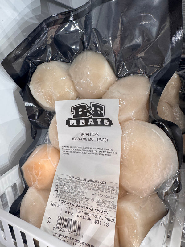 Scallops